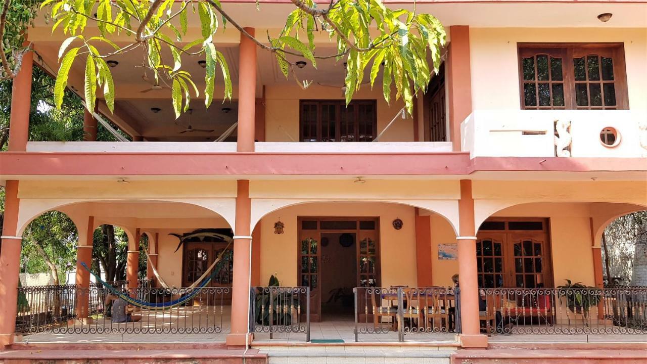 Villa Mango Hostelプエルト・エスコンディード エクステリア 写真