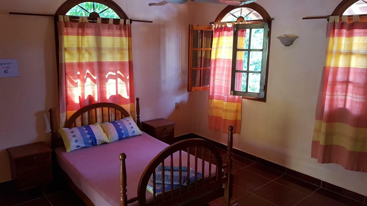 Villa Mango Hostelプエルト・エスコンディード エクステリア 写真
