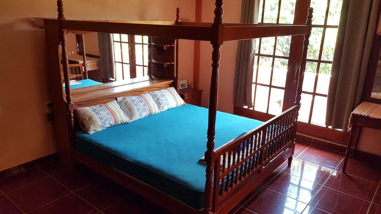 Villa Mango Hostelプエルト・エスコンディード エクステリア 写真