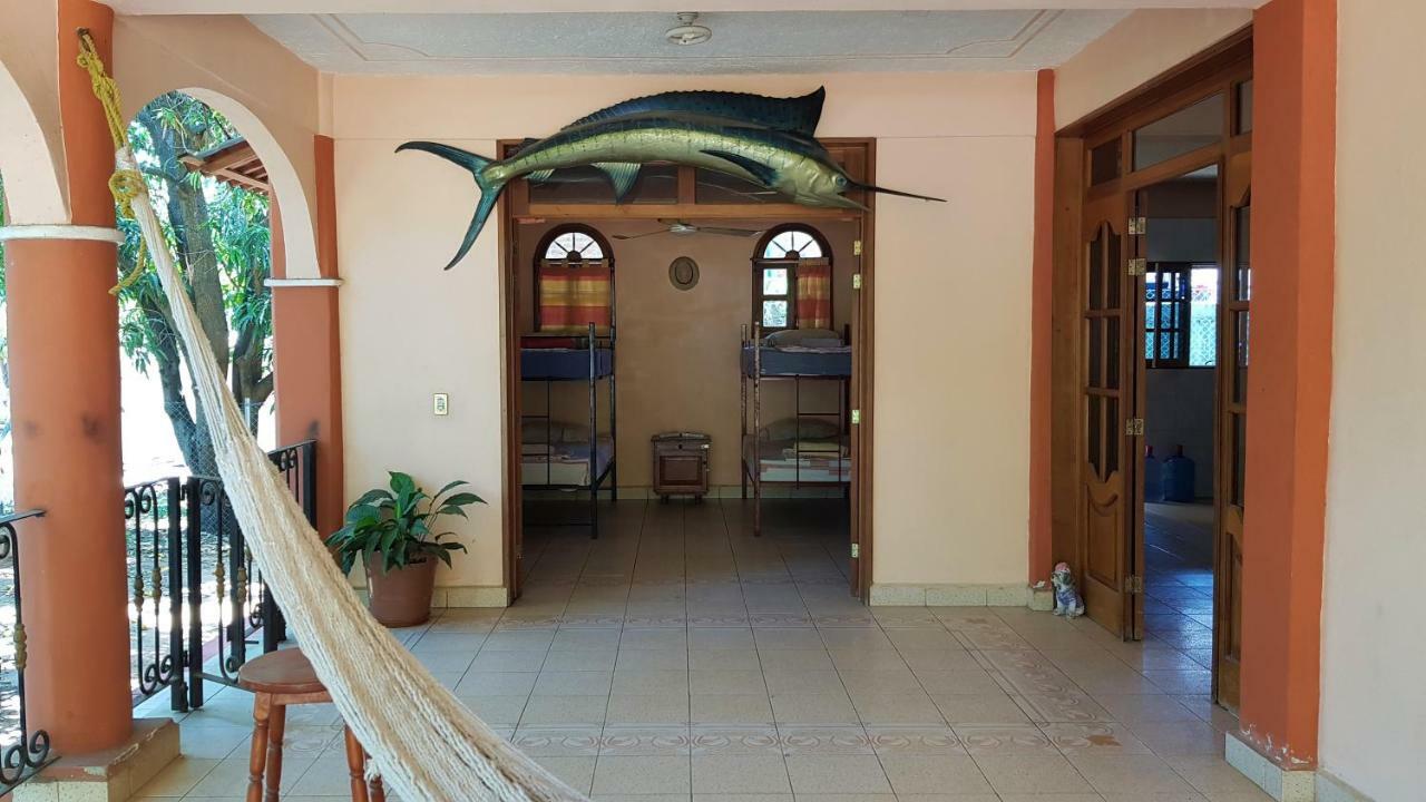 Villa Mango Hostelプエルト・エスコンディード エクステリア 写真