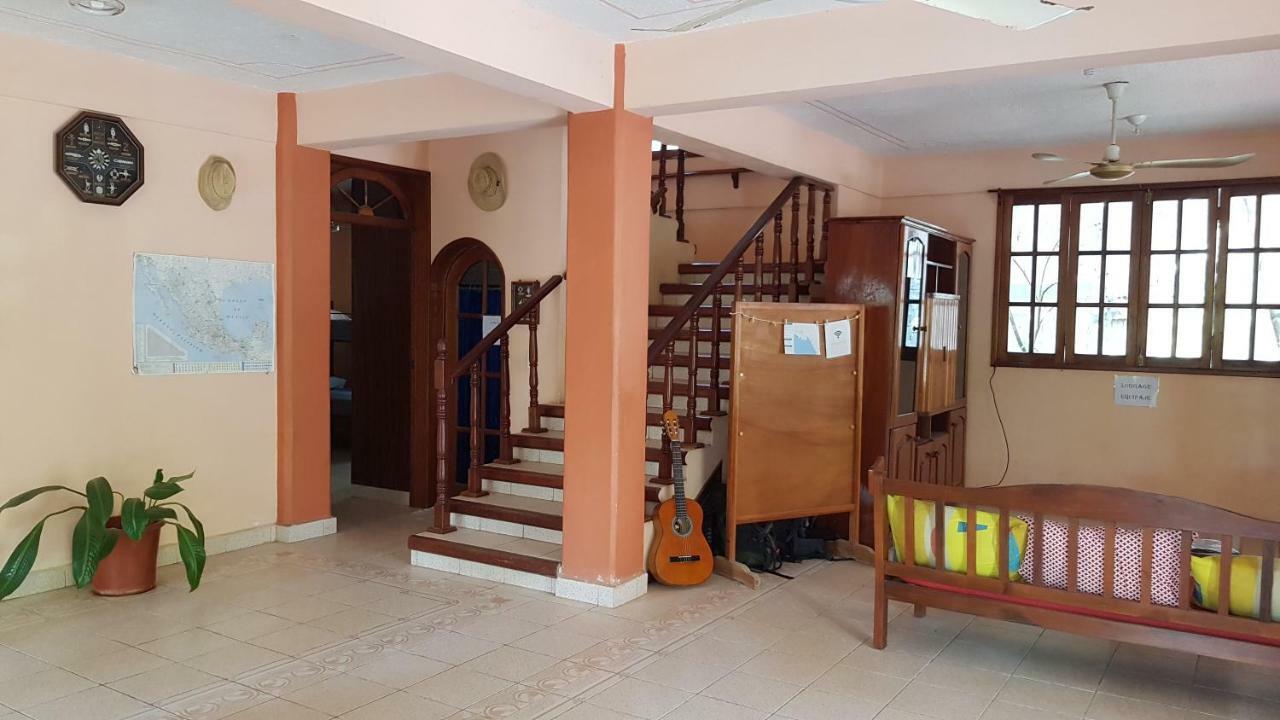 Villa Mango Hostelプエルト・エスコンディード エクステリア 写真