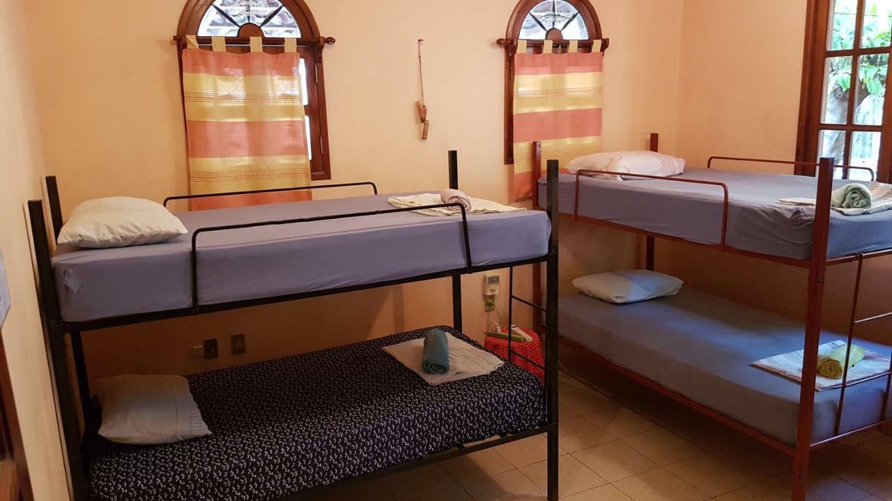 Villa Mango Hostelプエルト・エスコンディード エクステリア 写真