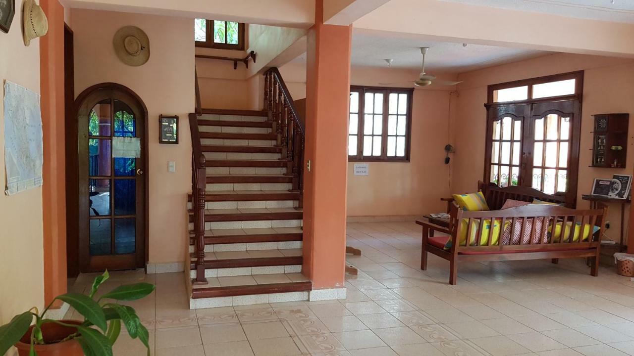 Villa Mango Hostelプエルト・エスコンディード エクステリア 写真