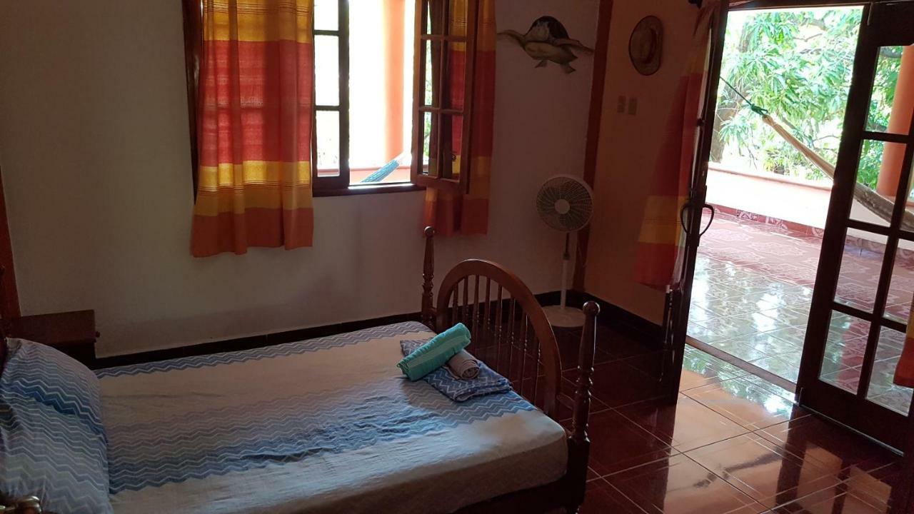 Villa Mango Hostelプエルト・エスコンディード エクステリア 写真