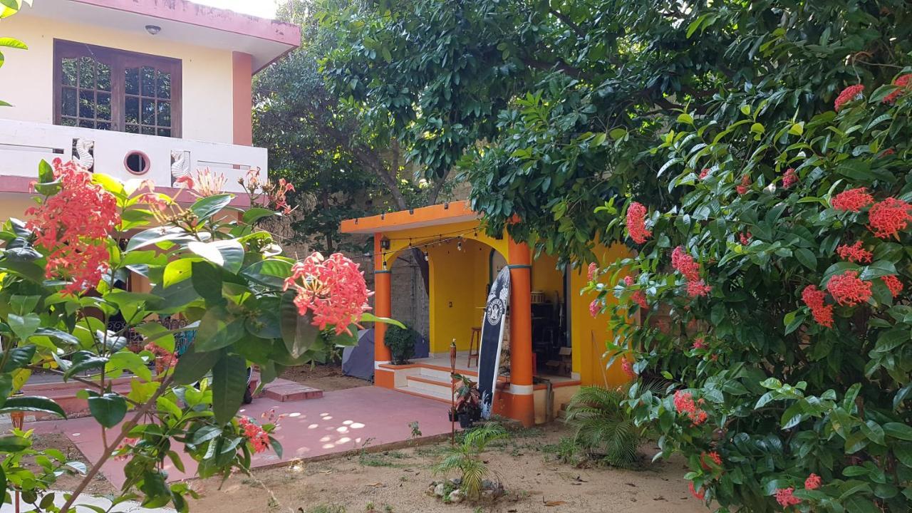 Villa Mango Hostelプエルト・エスコンディード エクステリア 写真
