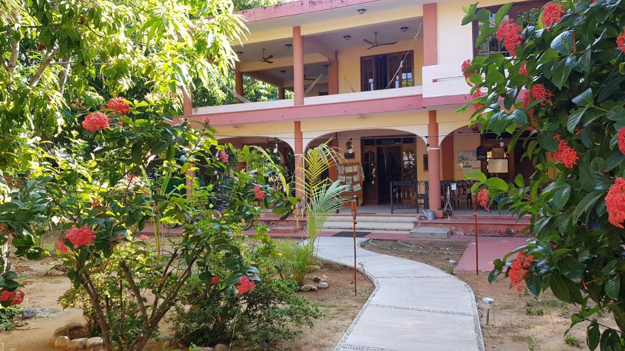 Villa Mango Hostelプエルト・エスコンディード エクステリア 写真