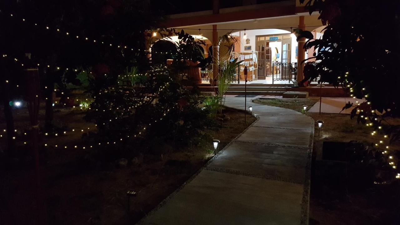 Villa Mango Hostelプエルト・エスコンディード エクステリア 写真